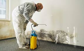 Best Mold Prevention Services  in Hoffman Estates, IL